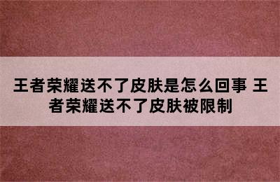 王者荣耀送不了皮肤是怎么回事 王者荣耀送不了皮肤被限制